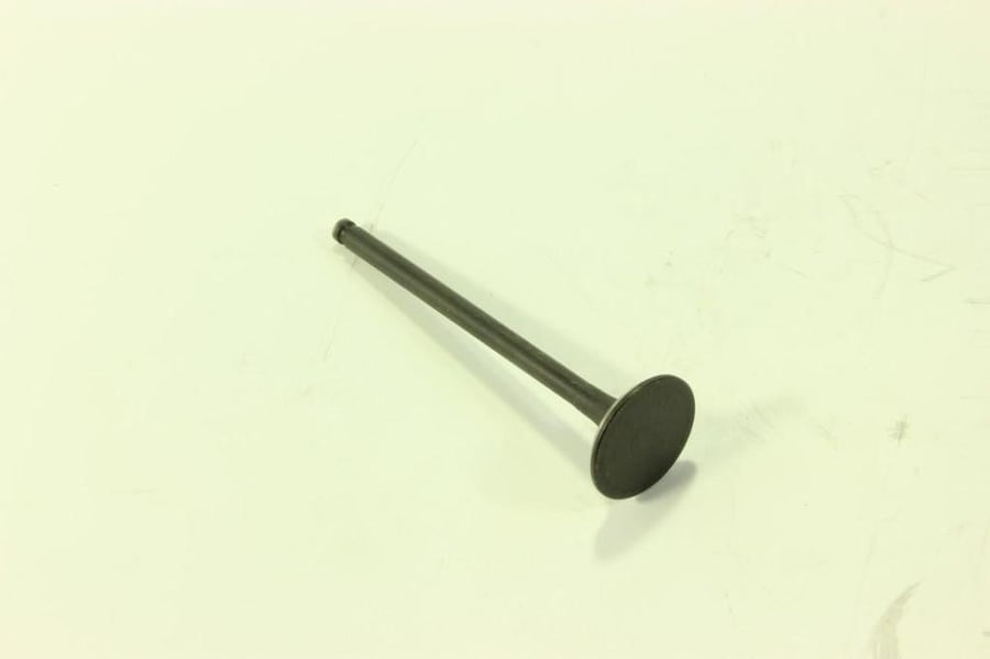 Exhaust valve