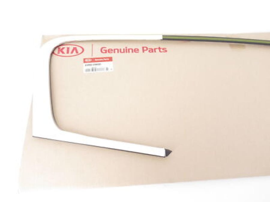 MOULDING ASSY-RR DR FRAME,RH   - 83860D9000 - زيج إطار باب خلفي يمين