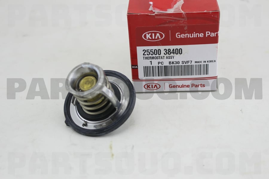 Thermostat assembly - 2550038400 - Thermostat regulator