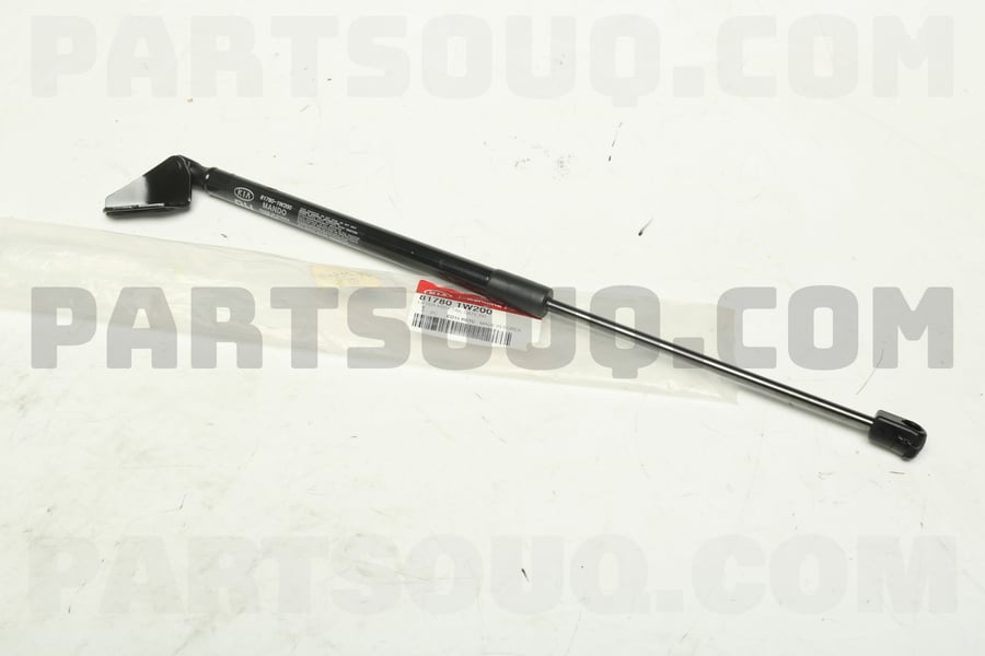 Lifter Assy - Tailgate, Right - 817801W200