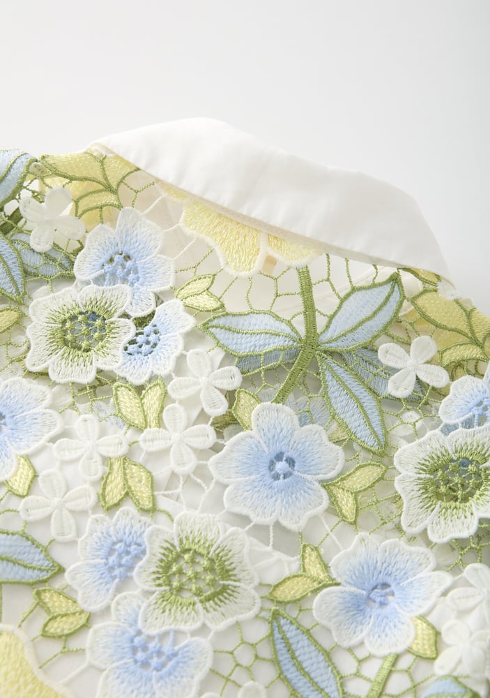 Vienna Embroidered Mini Dress