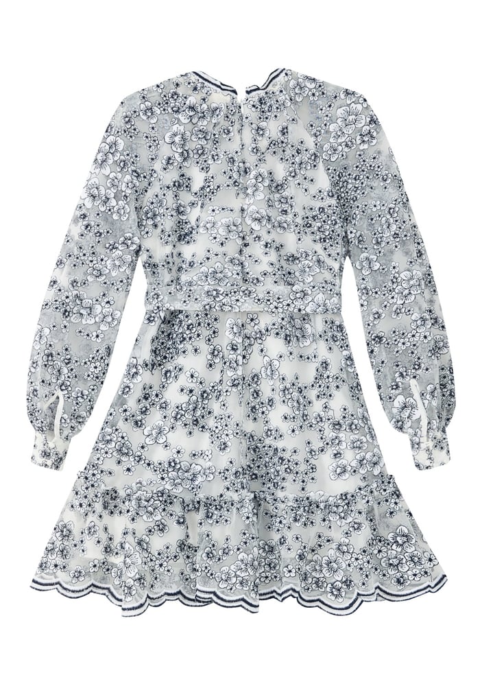 ِEilza Embroidered Mini Dress