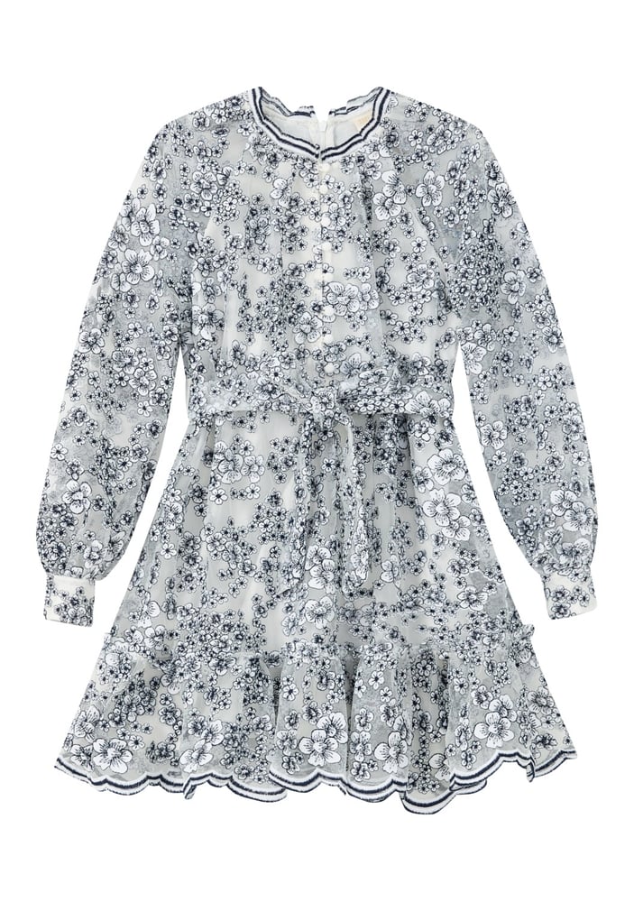 ِEilza Embroidered Mini Dress