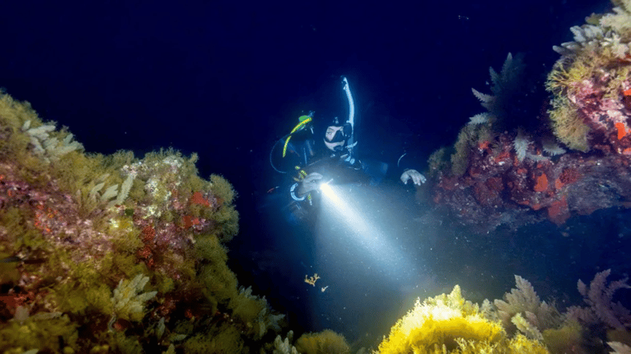 الغوص الليلي  - Night Diver PADI
