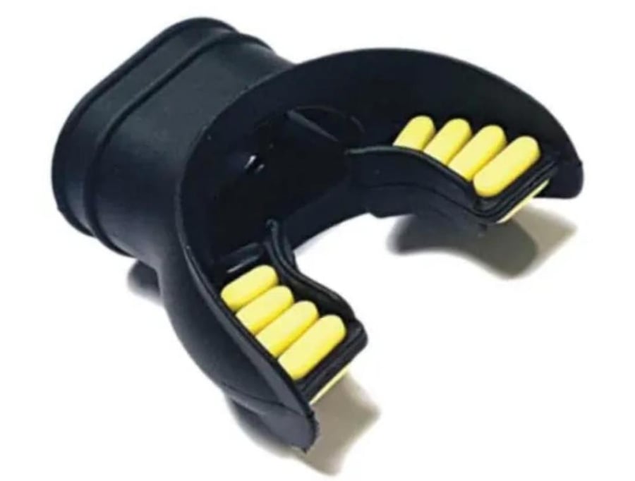 mouthpiece