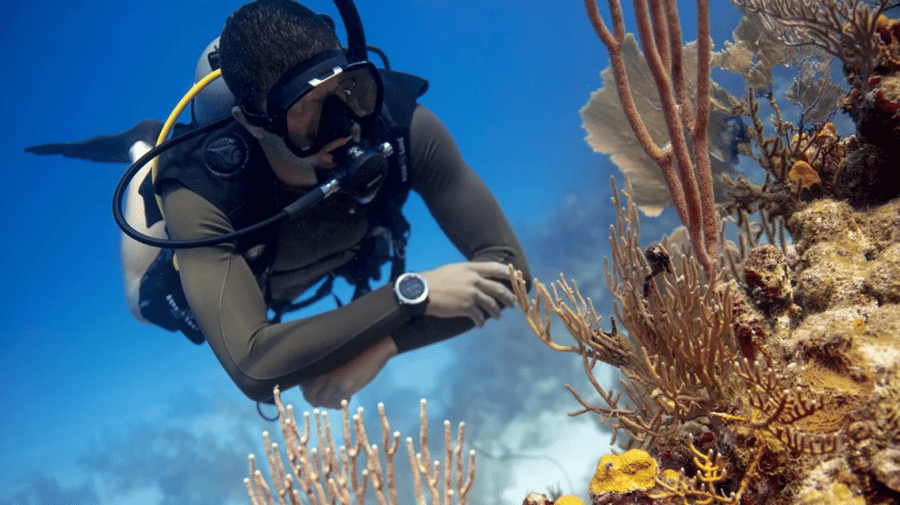 تخصص الطفو  - Performance Buoyancy PADI