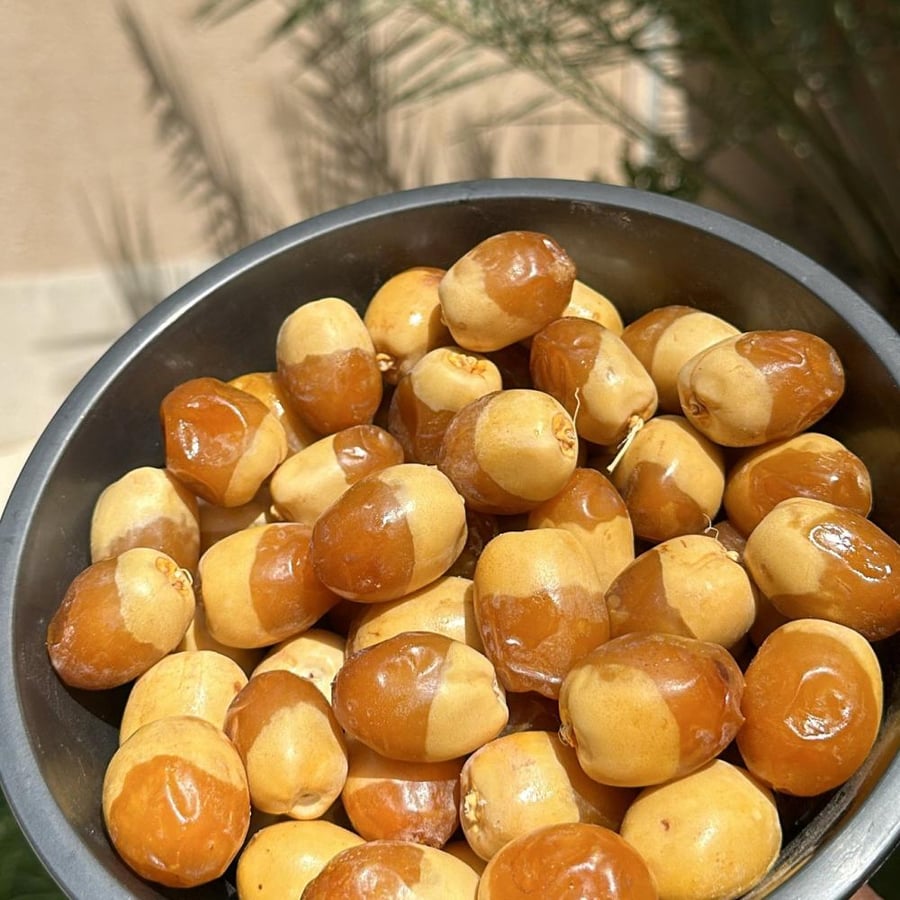 نبت سلطان فاخر