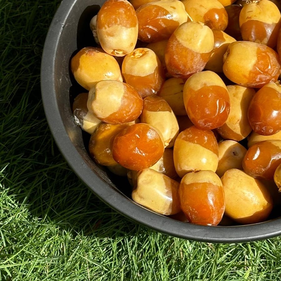 نبت سلطان فاخر
