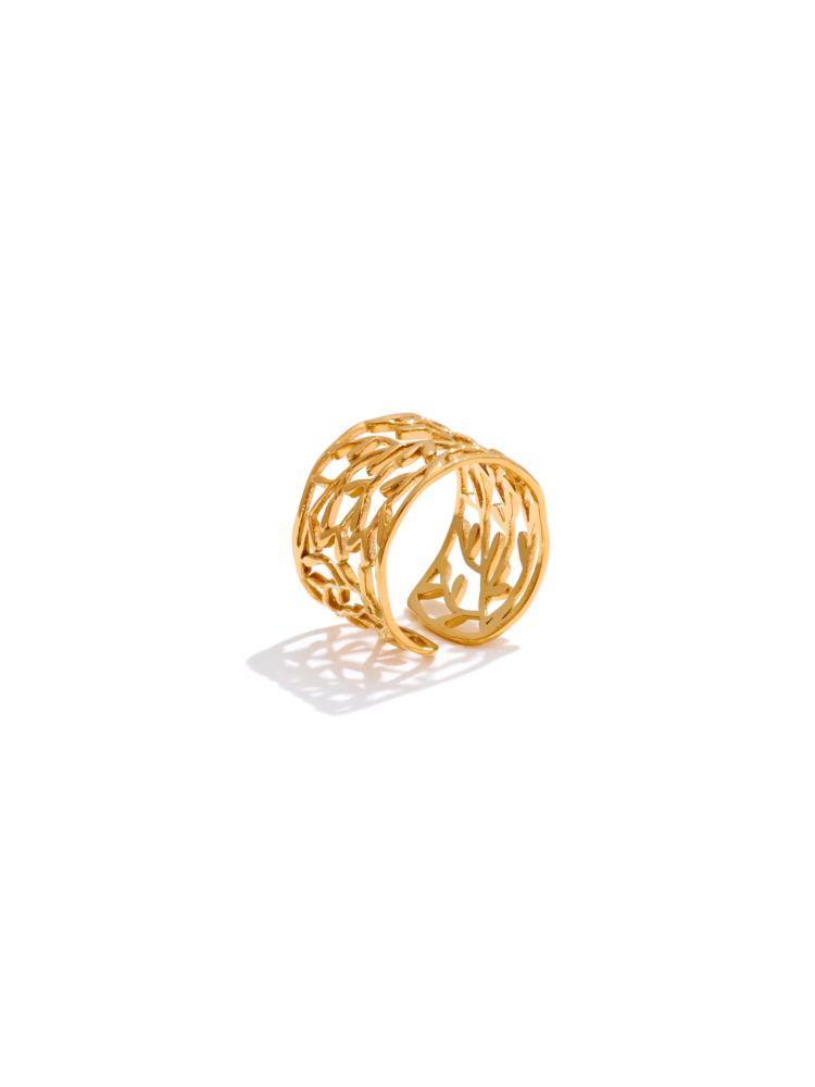 Spring Ring
