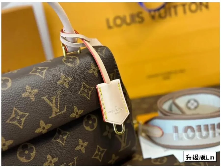 Louis Vuitton bag Clooney includes all accessories