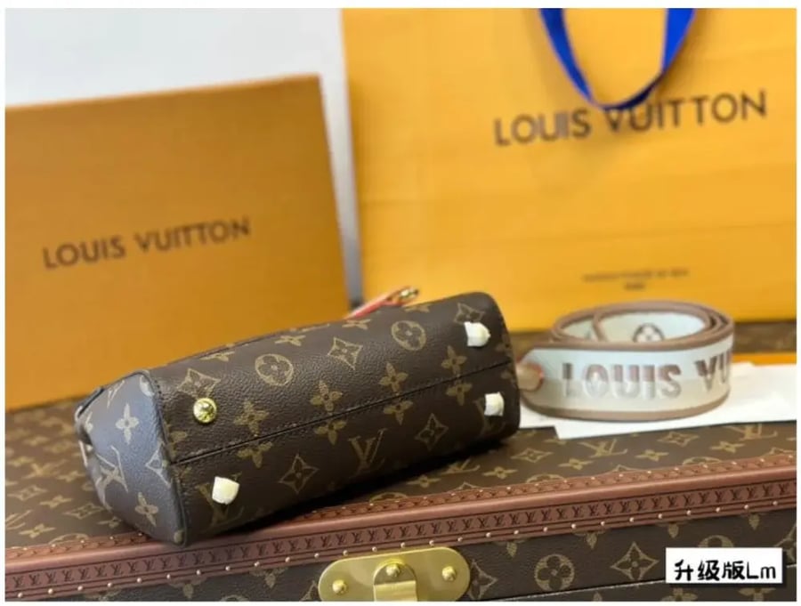 Louis Vuitton bag Clooney includes all accessories