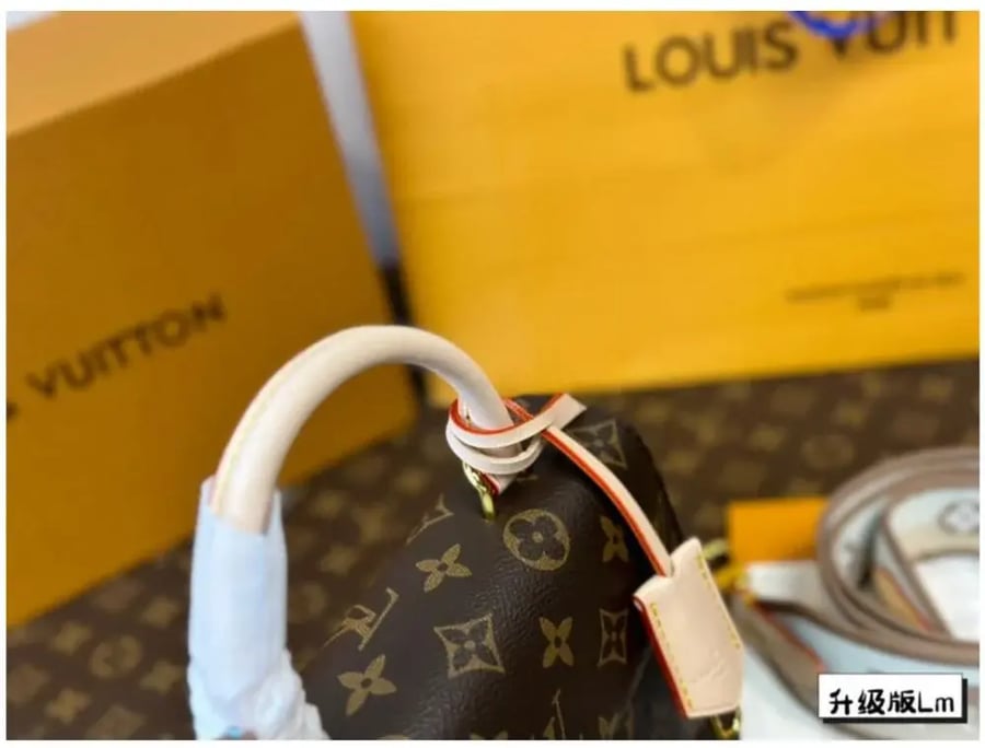 Louis Vuitton bag Clooney includes all accessories