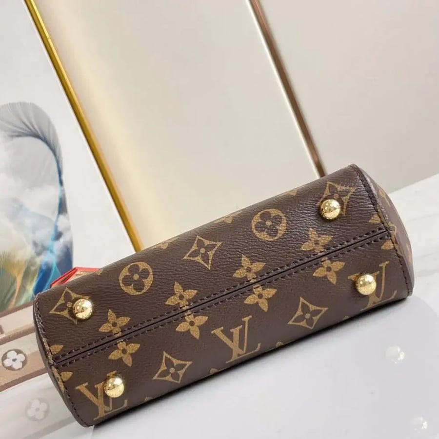 Louis Vuitton bag Clooney includes all accessories