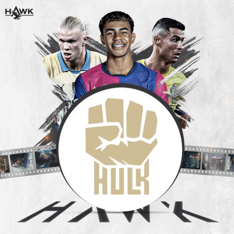 اشتراك هولك 3 شهور