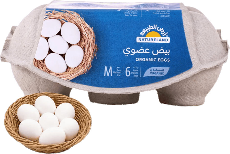أرض الطبيعة بيض عضوي ٦ حبات