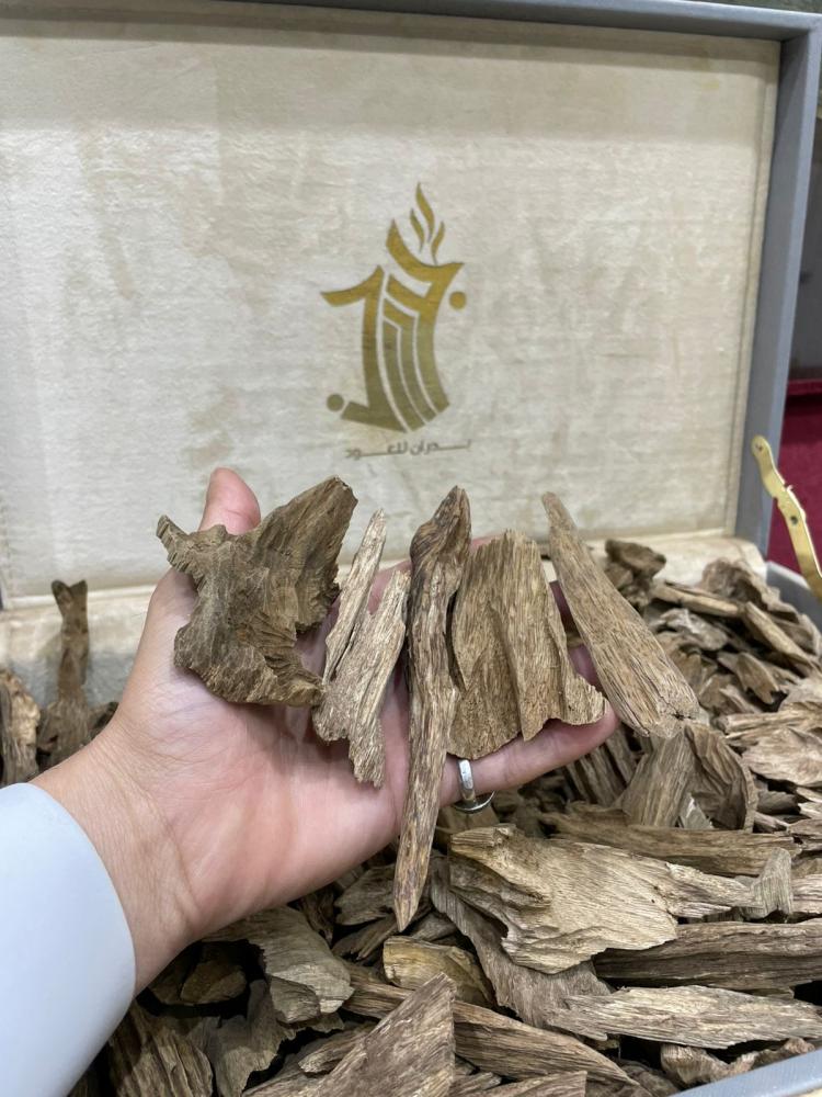 مروكي حي طبيعي