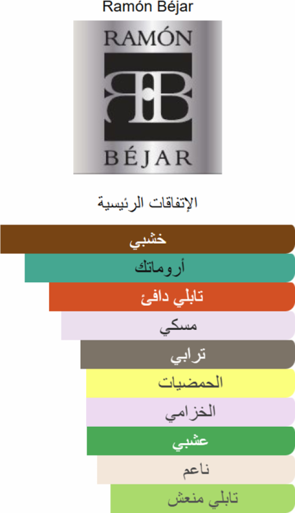 عطر بلاك ستون رامون بيجار Black Stone Ramon Perfume