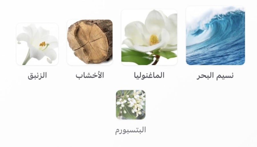 تقسمة من عطر آن جاردان سور لا لاغون من هيرميس