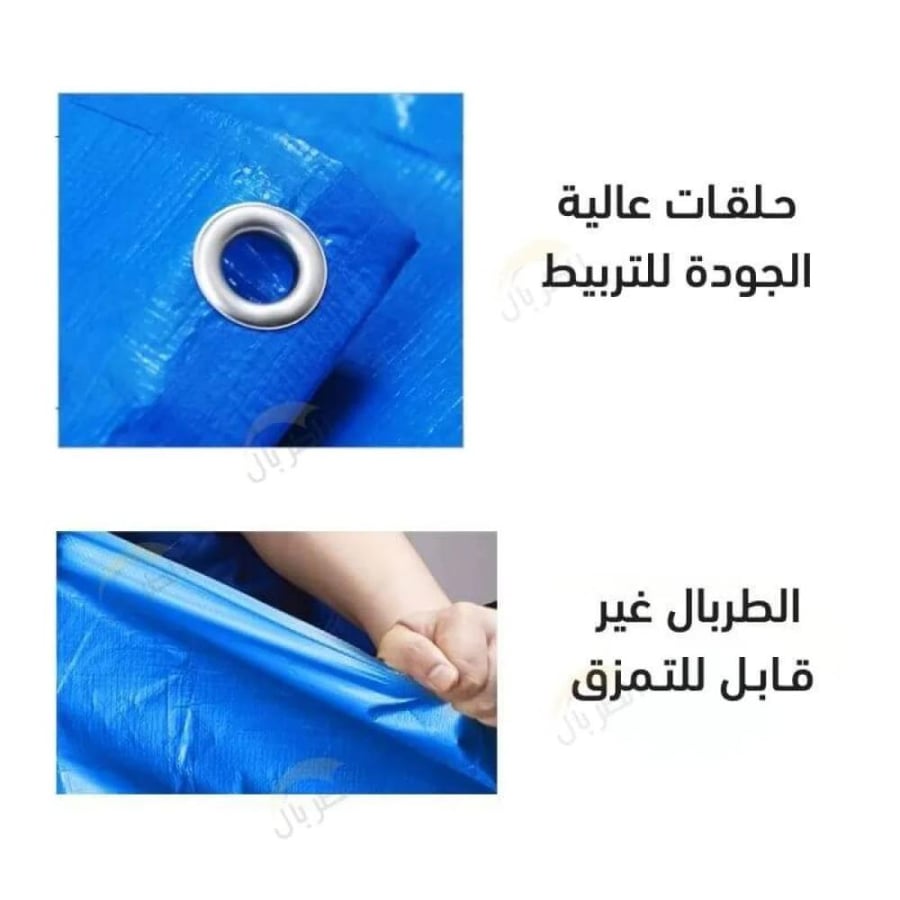 شراع الدرع برتقالي