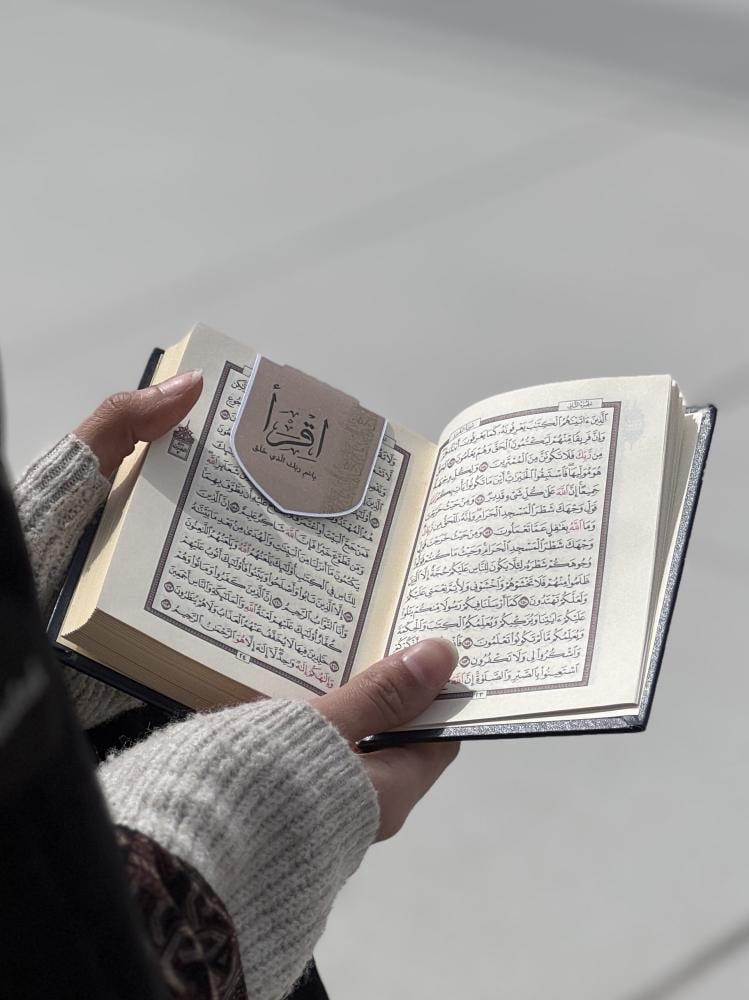 فاصل مغناطيس بني