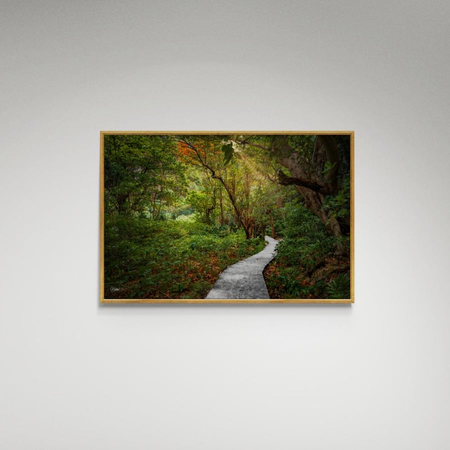 Artistic painting of a walkway in a park - picture (50)