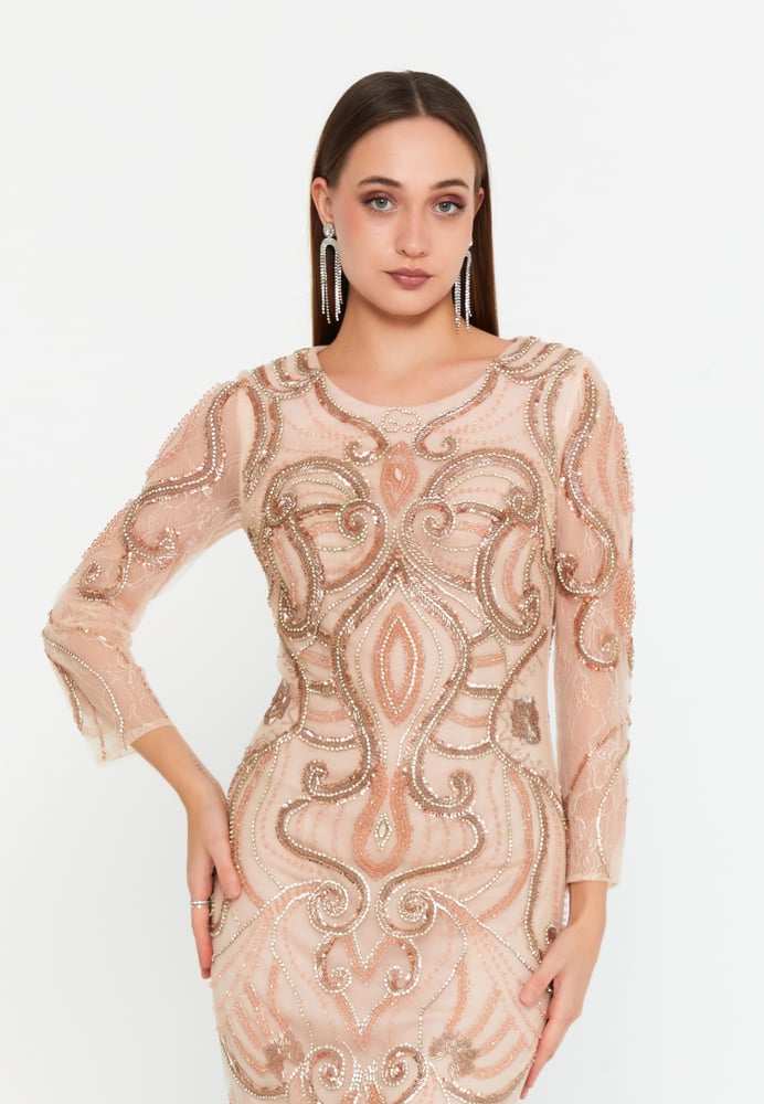 Long Sleeve Midi Tulle Column Regular Evening Dress MTCW151