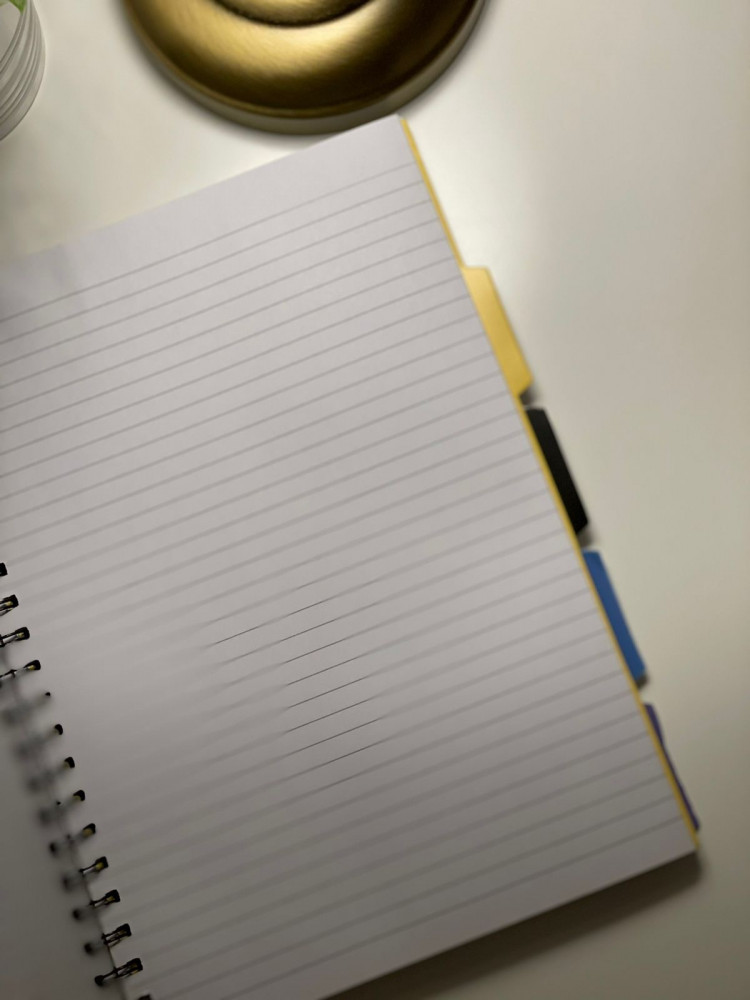 دفتر ميكي والاصدقاء