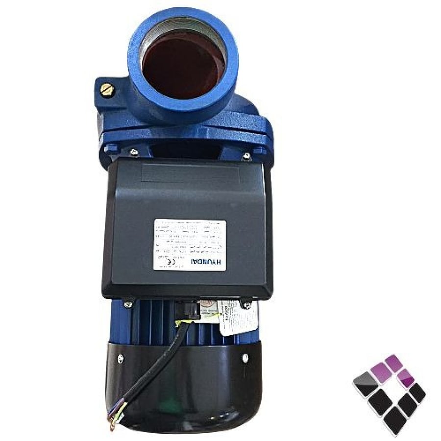 HYUNDAI motor Chinese developed 3 horsepower output 3" HWP 004