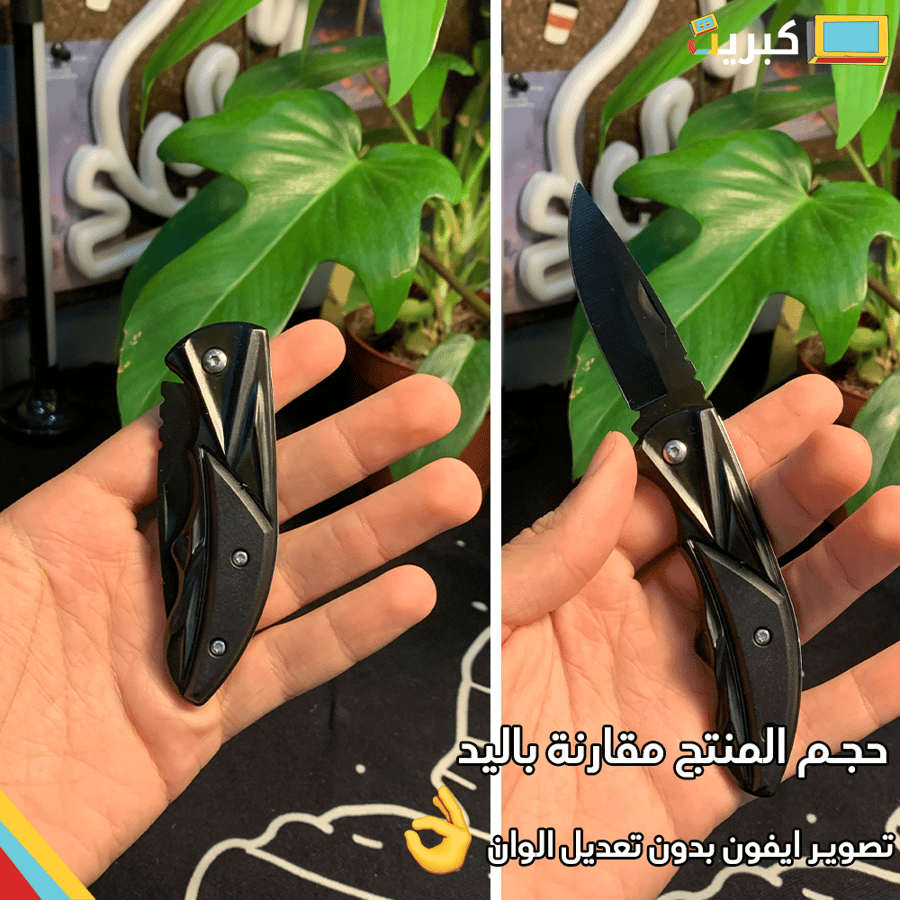 The black brochure