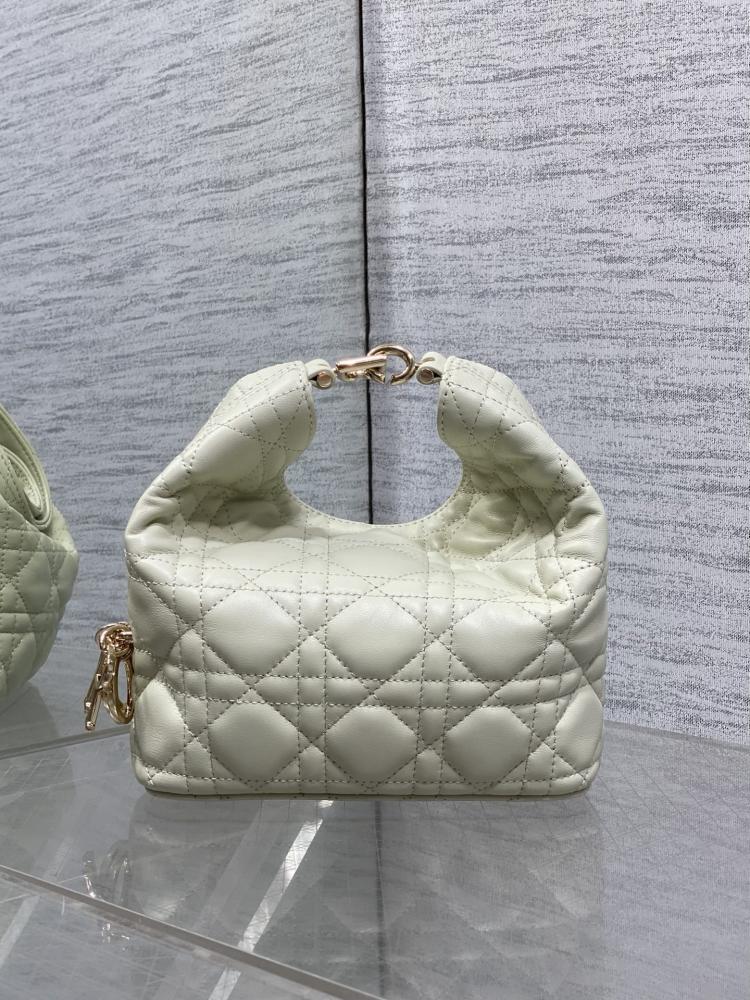 حقيبة ديور الشتوية