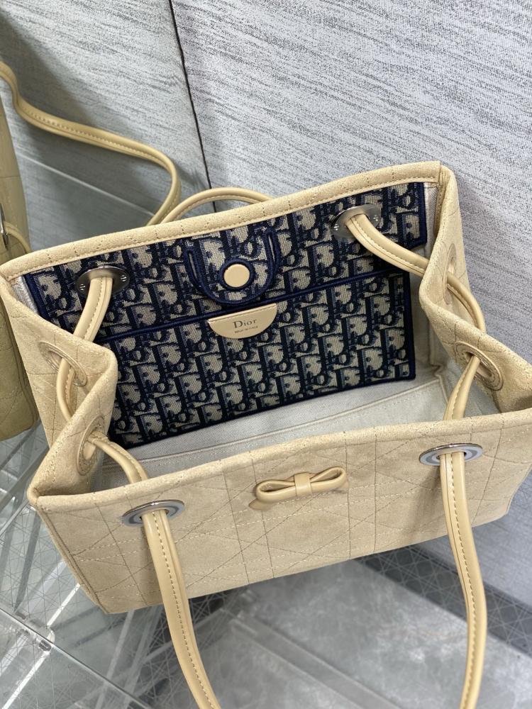 حقيبة ديور الجديدة