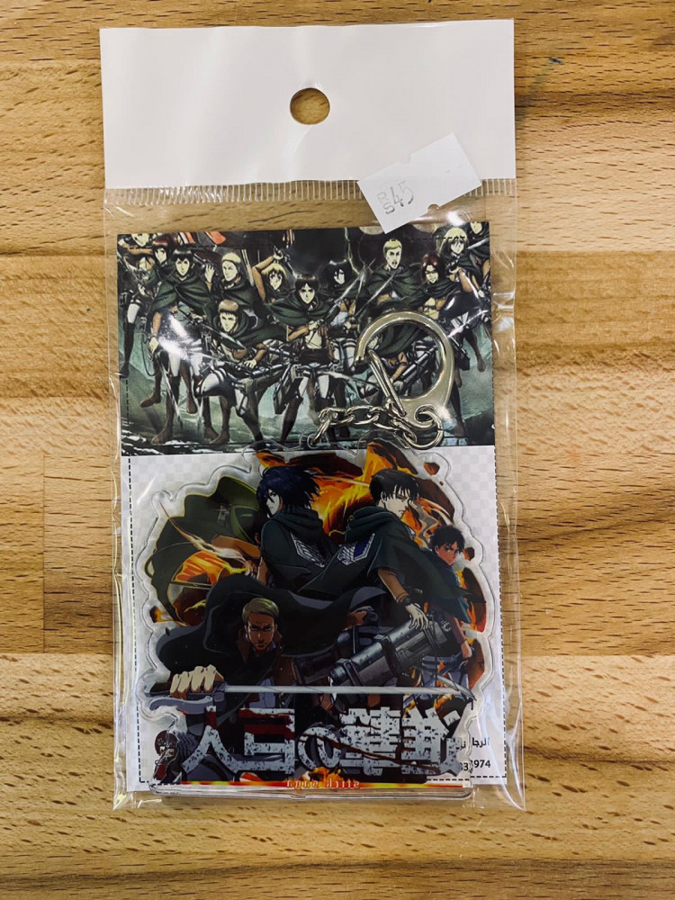 Attack on Titan Keychain