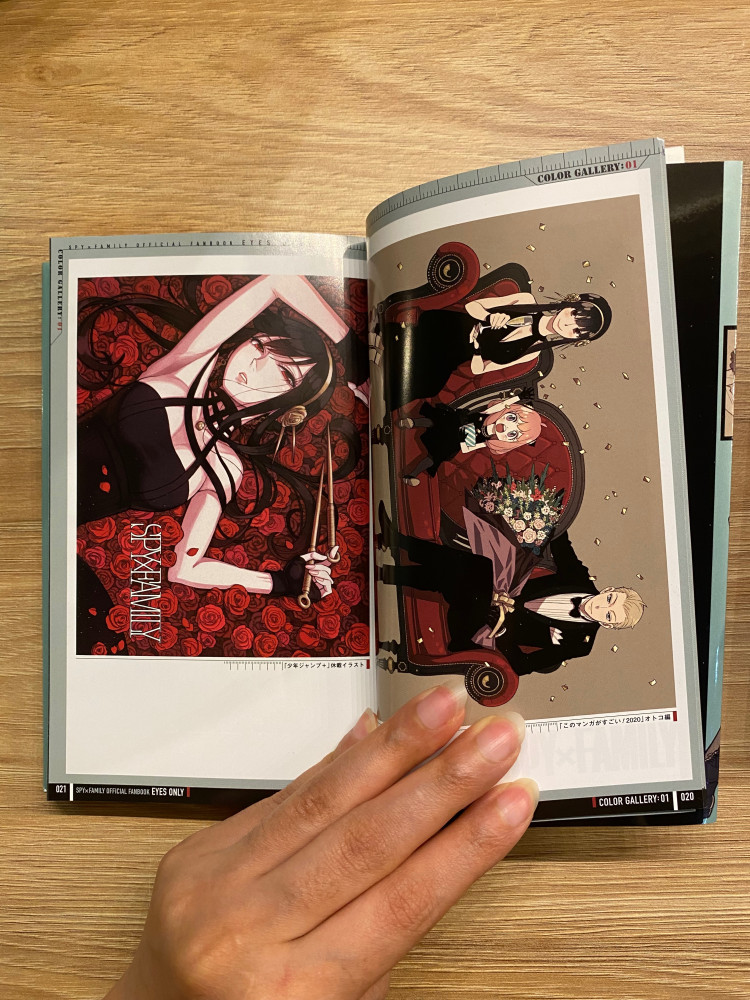 Art book spy-x-family