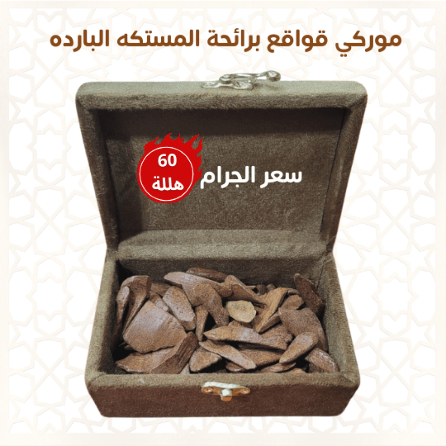 موركي قواقع برائحة المستكه البارده