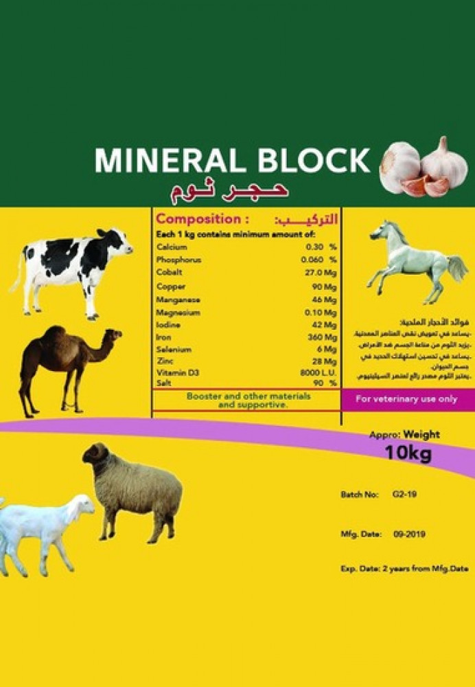 حجر ثوم ( أخضر ) وزن 10ك