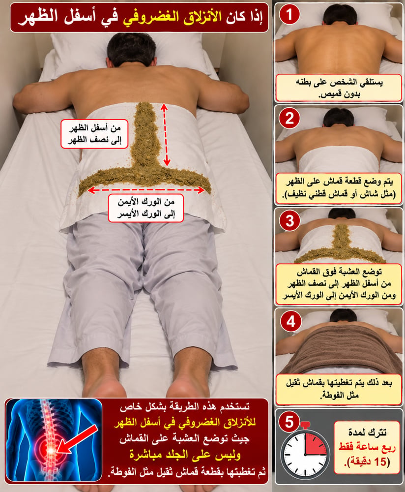 عشبة البرجس ( للأنزلاق الغضروفي وخشونه الركب )