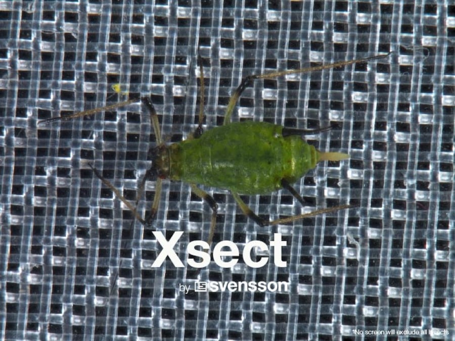 شبك للتحكم في الحشرات وحماية المحاصيل Xsect Balance