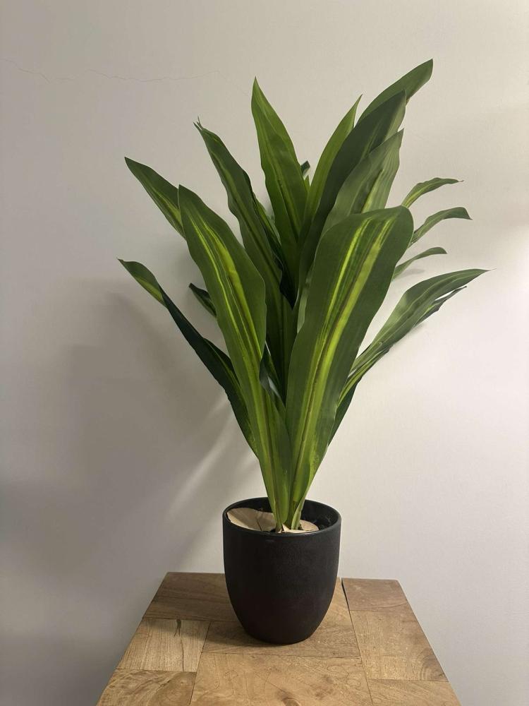 60cm tree with black plastic pot 60*15
