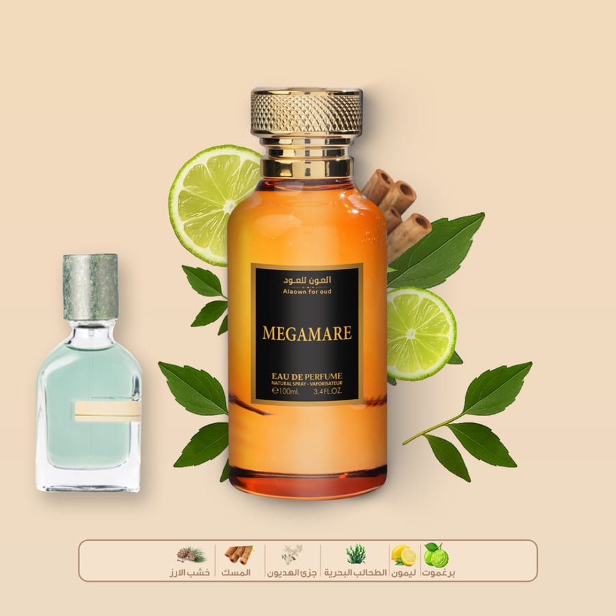 Mega Mir perfume