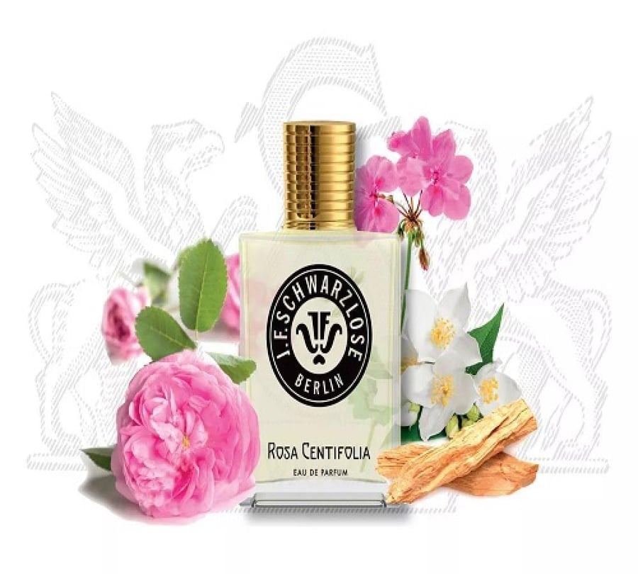 عطر جي اف شوارزلوس برلين روزا سنتيفوليا 50مل