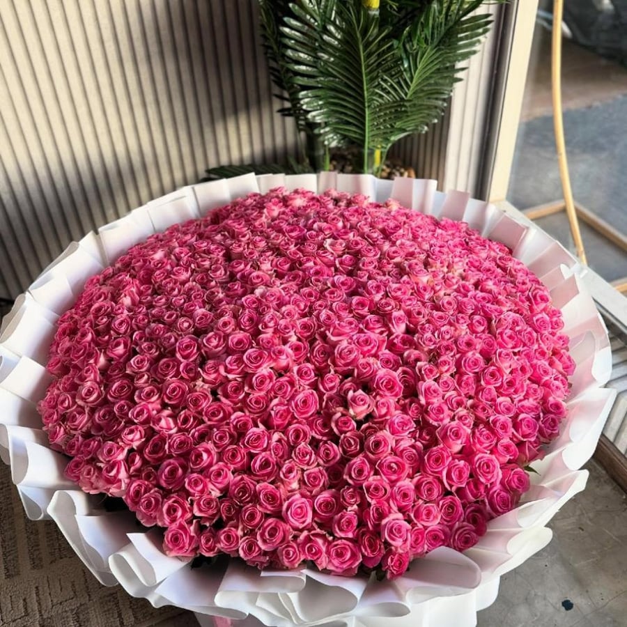 باقة كبيرة 500 وردة