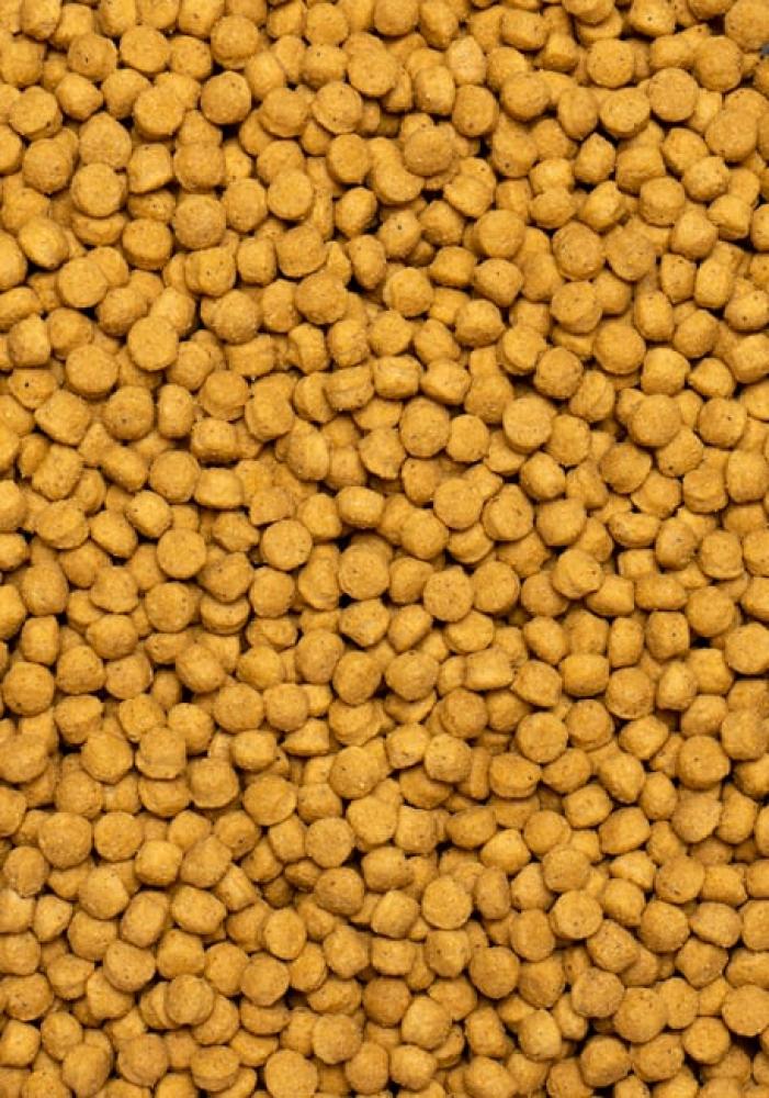 سيتاكوس هاي بروتين - PSITTACUS High Protein