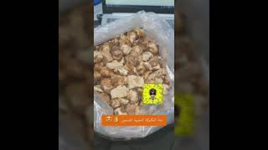 بكبوكة حبات تالغودة المغريبة للتسمين -ك