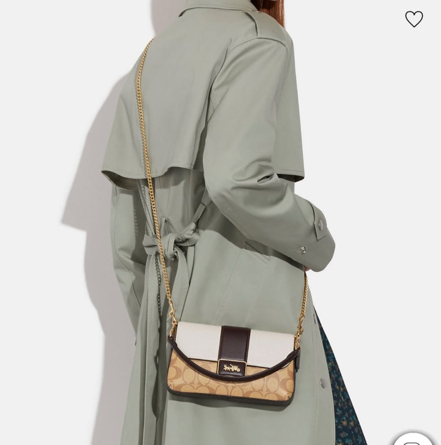 Coach bag Small