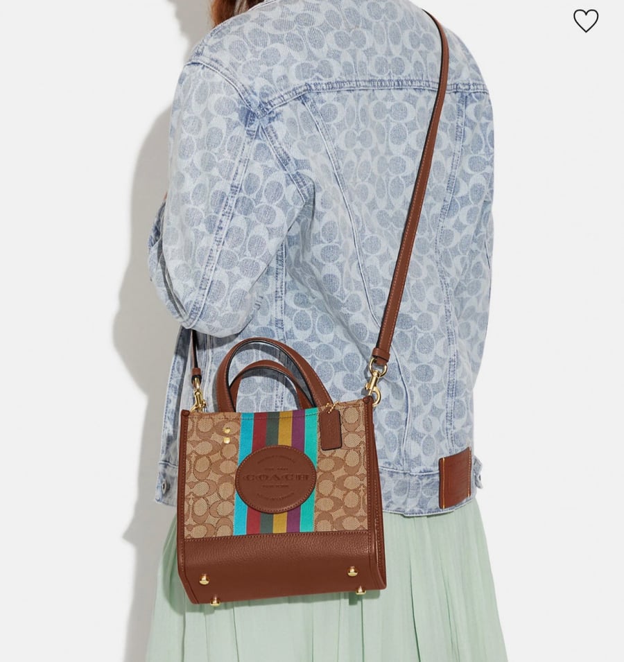 Coach bag medium