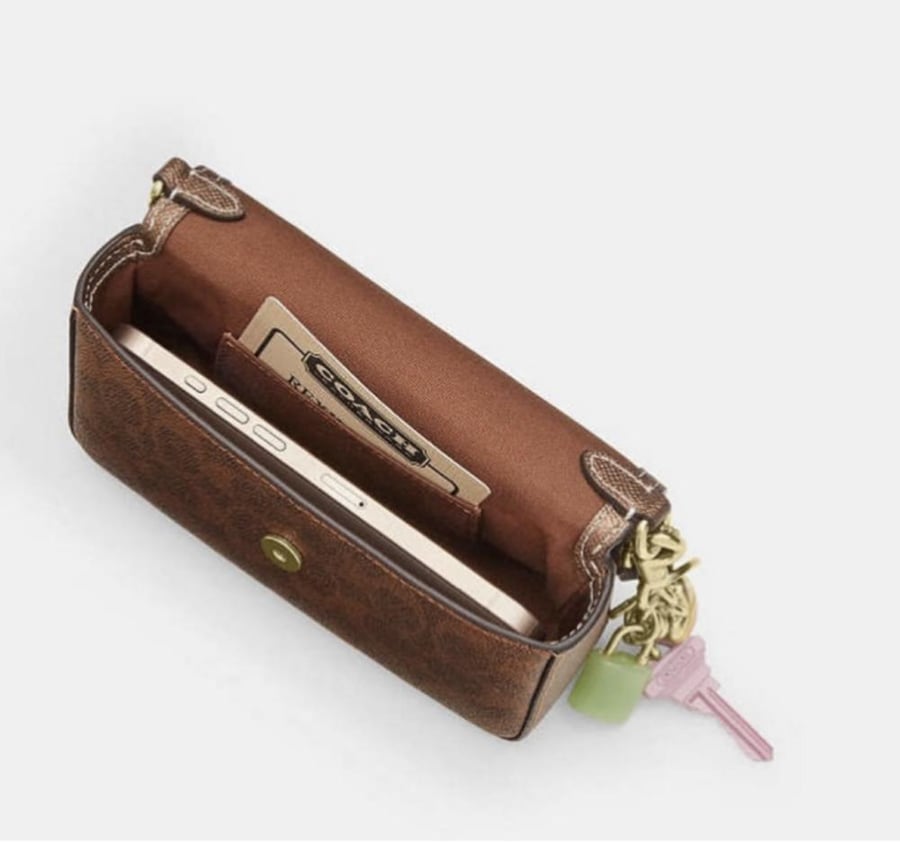 Mini Coach bag