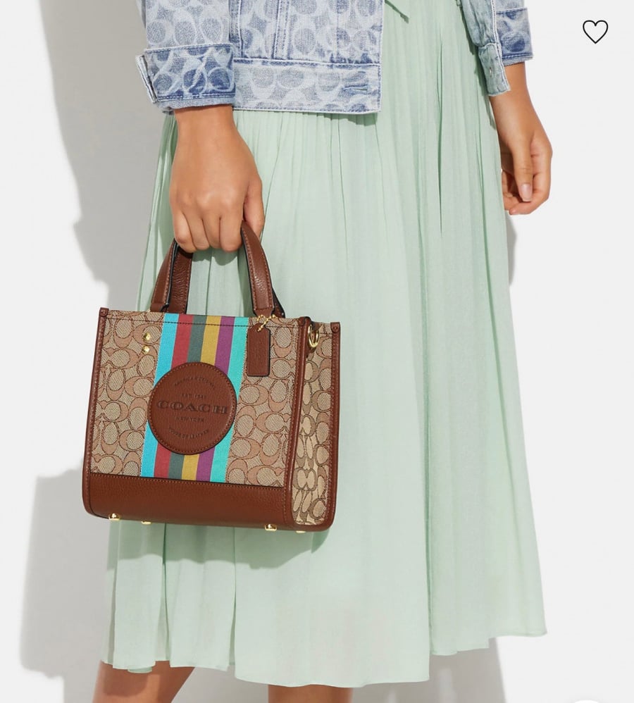 Coach bag medium