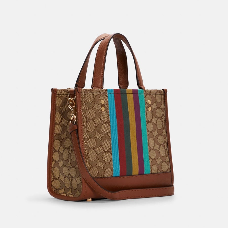 Coach bag medium