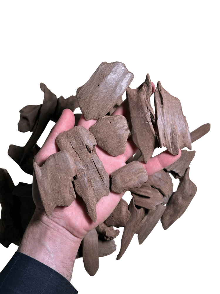 المروكي الصفوة