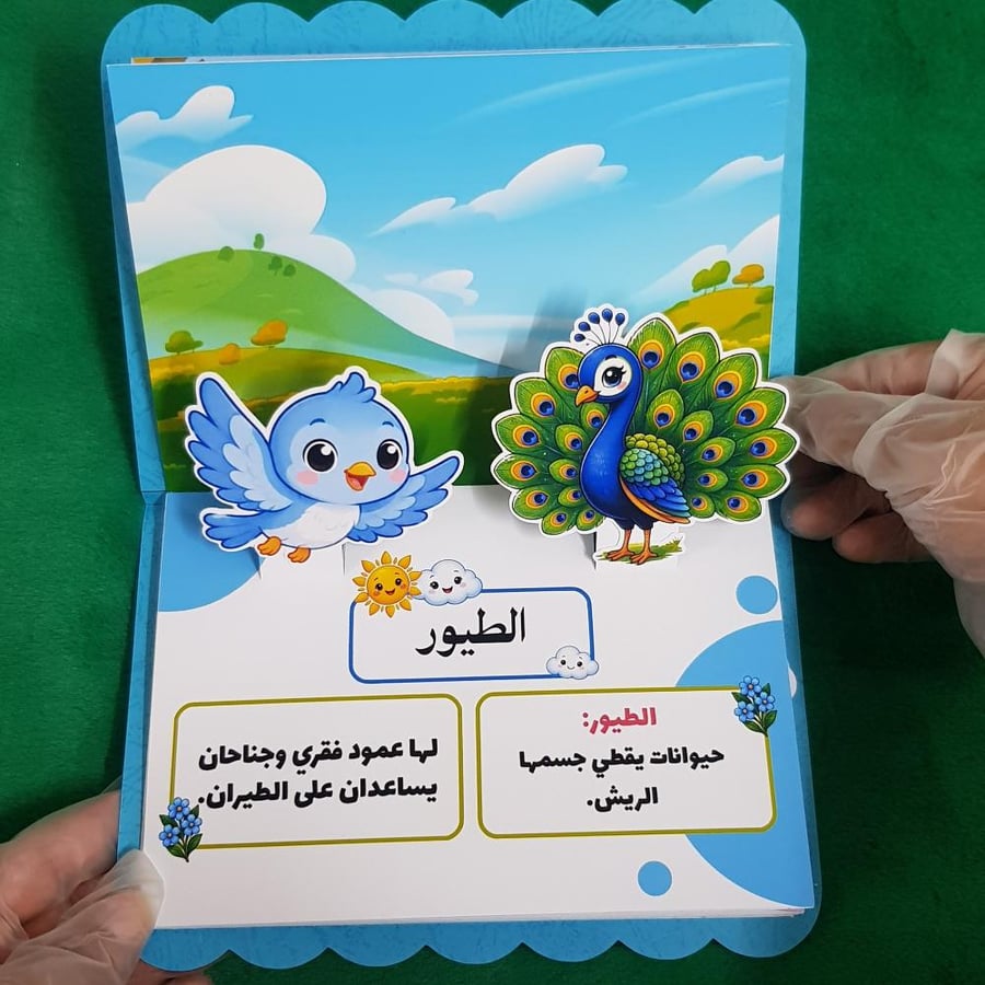 مطوية انواع الحيوانات صف اولي